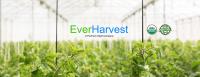 Everharvest image 2